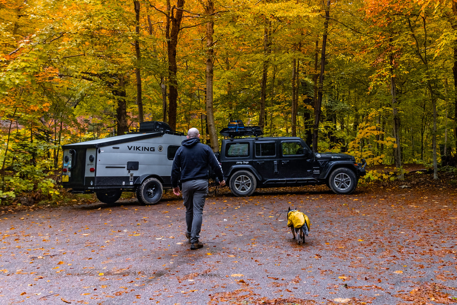 @cattledogsandco - Rainy camping trip tips