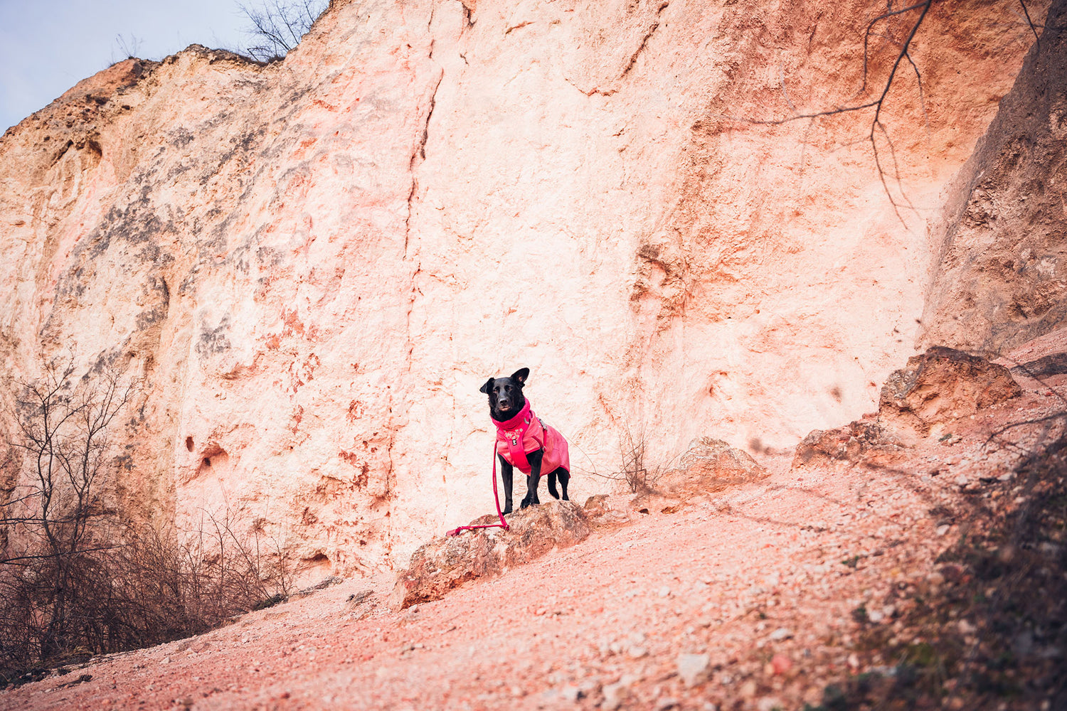 @2blackdogsview - Hiking with children and dogs
