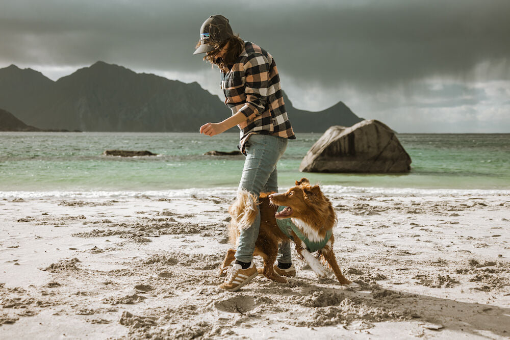 Shared adventures