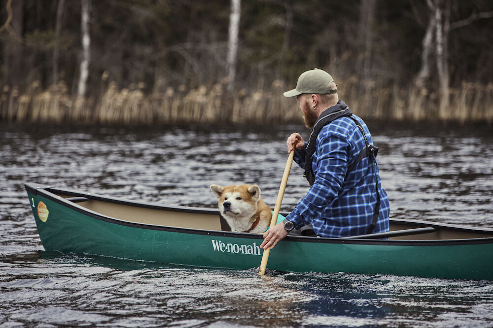 Guide to Safe Summer Adventures with Your Dog