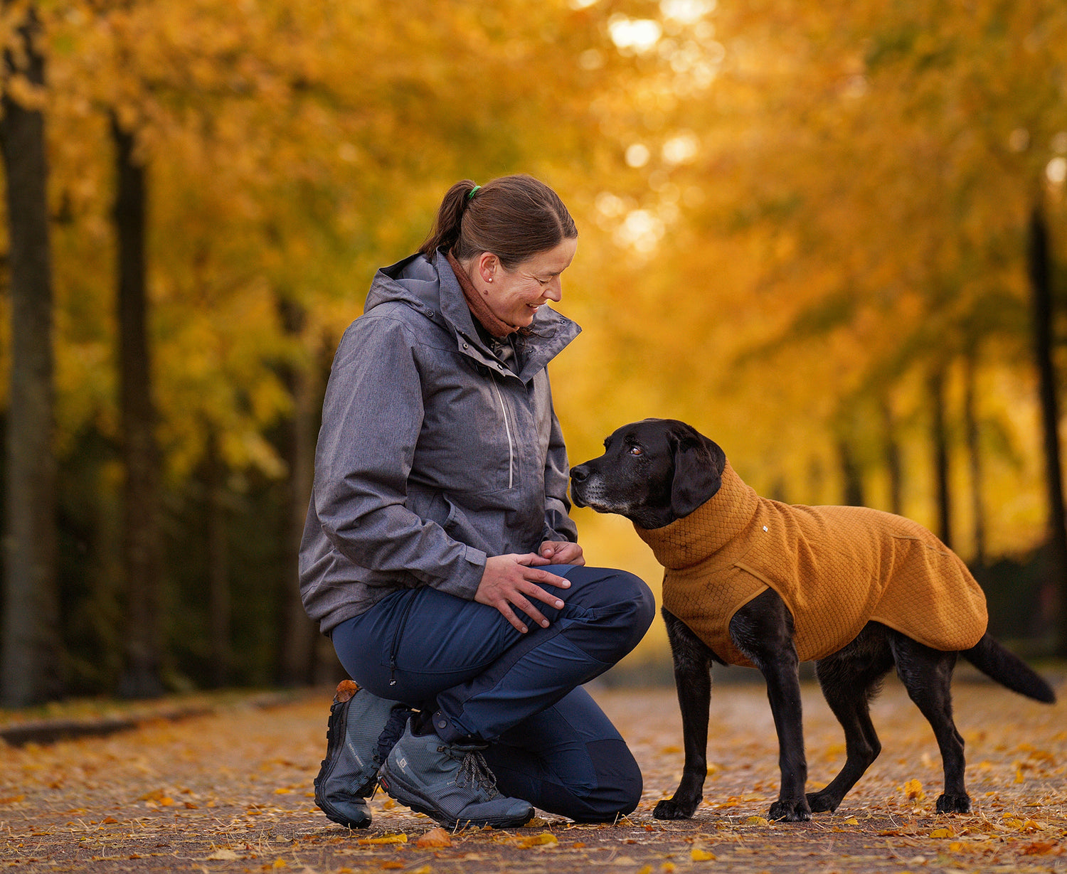 @junior_the_copenhagen_lab - Life with senior dog