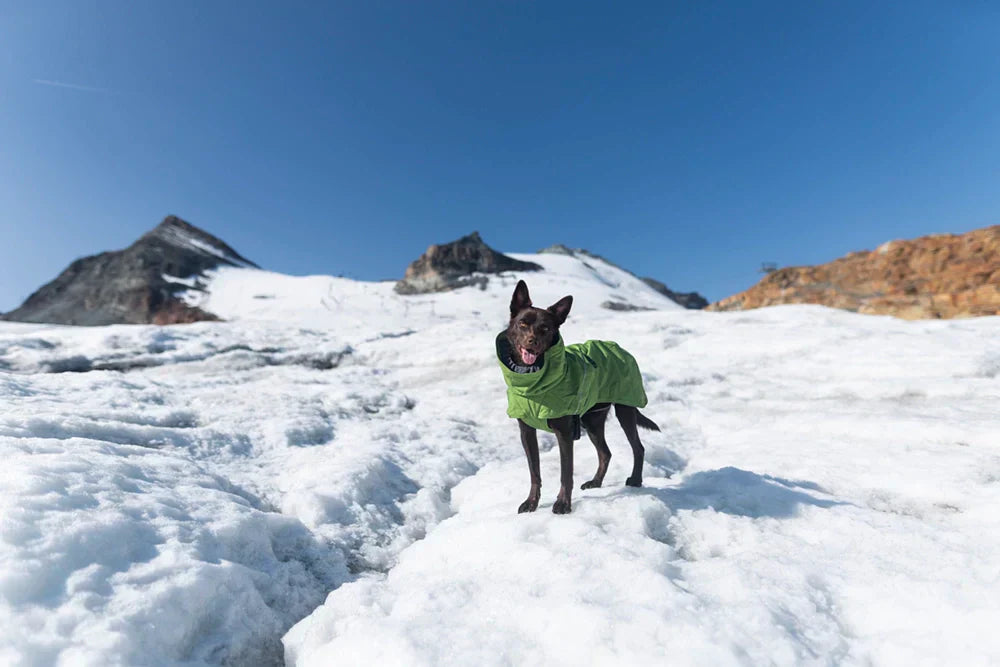 @ifyoulivewithus - Where Snow Meets Instinct