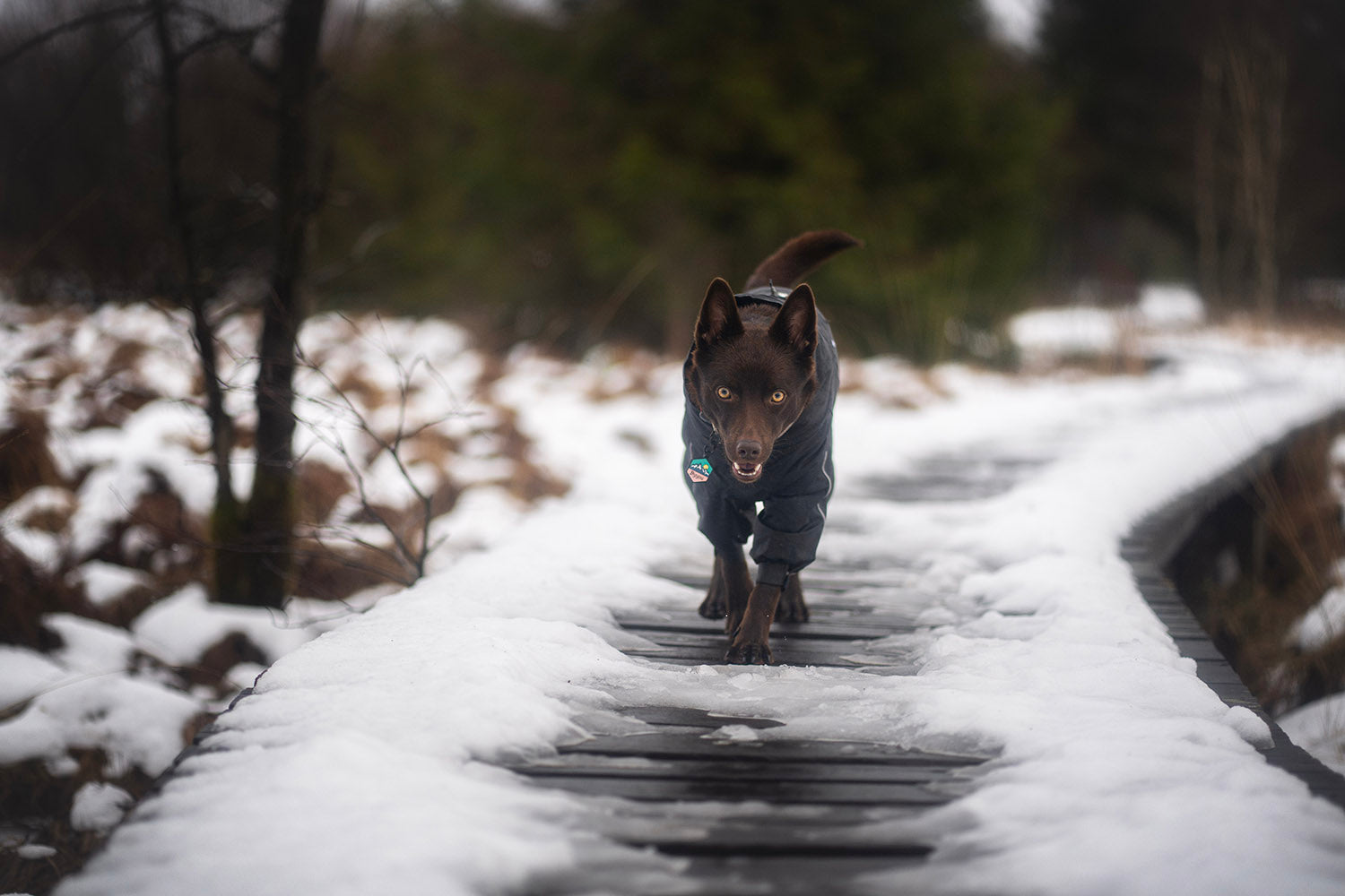 @ifyoulivewithus - Snowy Adventure