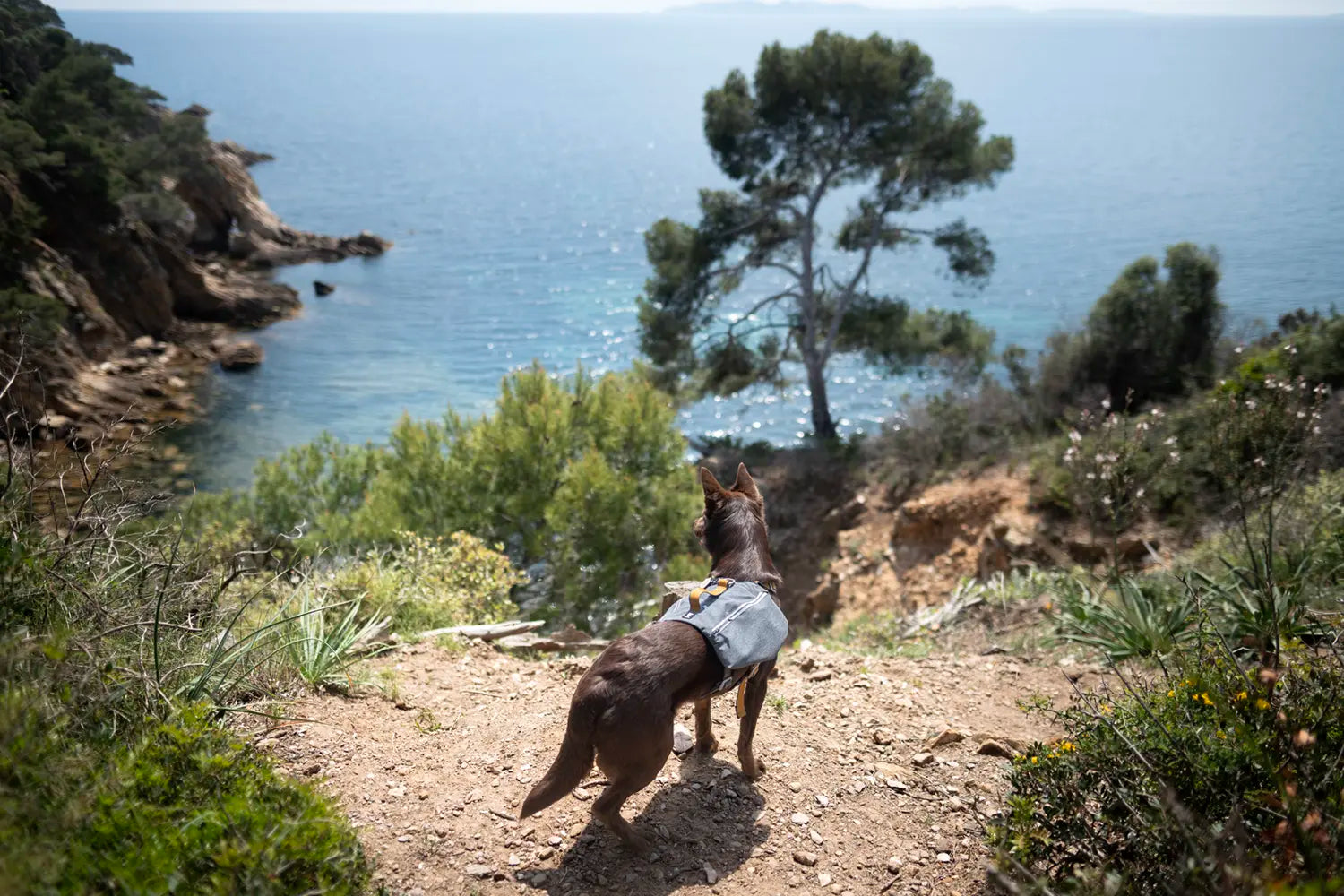 @ifyoulivewithus - Hike in the South of France