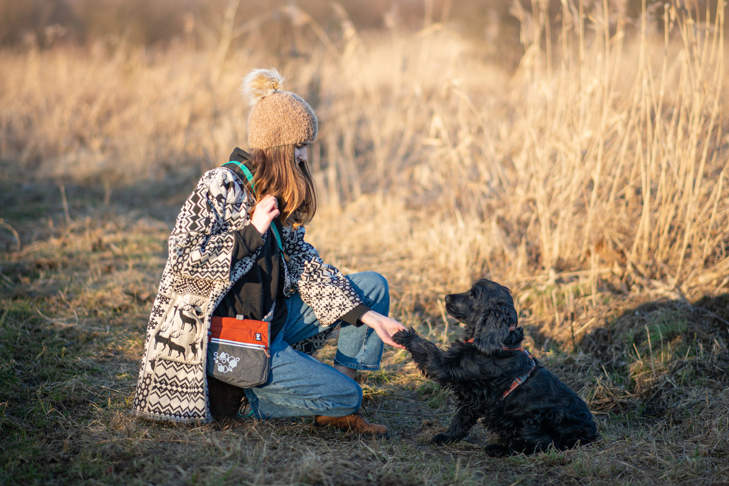 @jimbordercollie - All that in one treat bag!