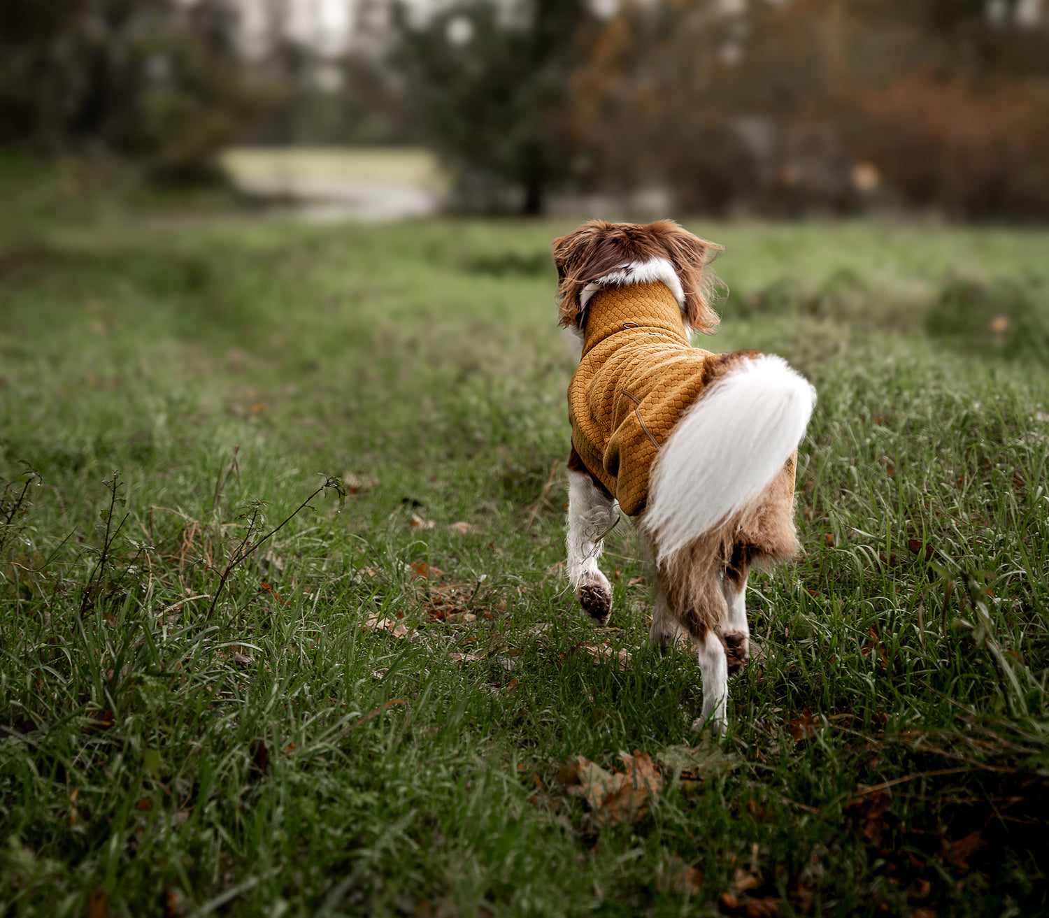 @keeladventures - Memories of autumn colors