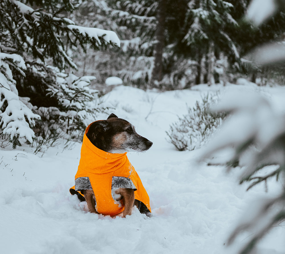 @mrs.noemie - Snowy Adventures