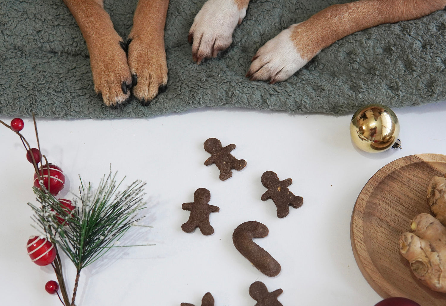 @petur.and.archi - Delicious Christmas filled with joy and treats!