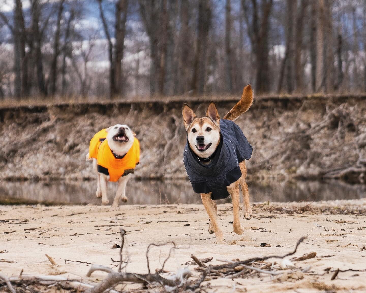 @thefishingmutts - Do you wanna go fishing?