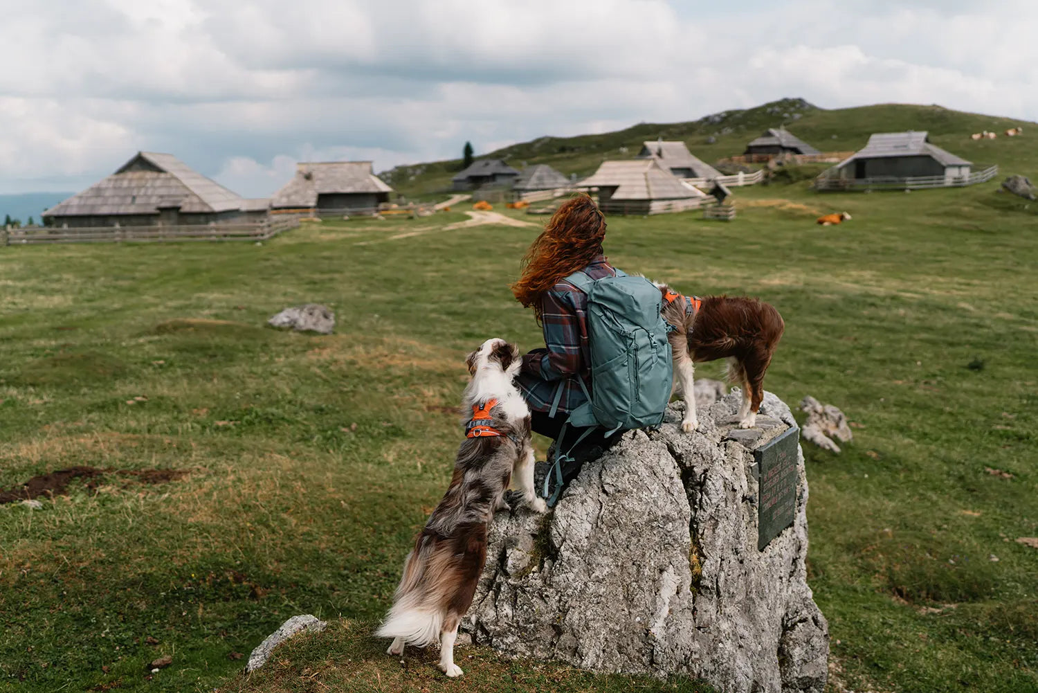 @twomerlecollies - Alpine Adventures