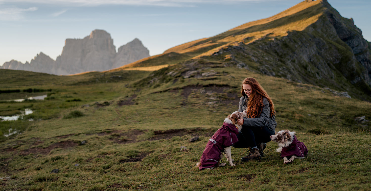 @twomerlecollies - The stunning natural beauty of the Dolomites.