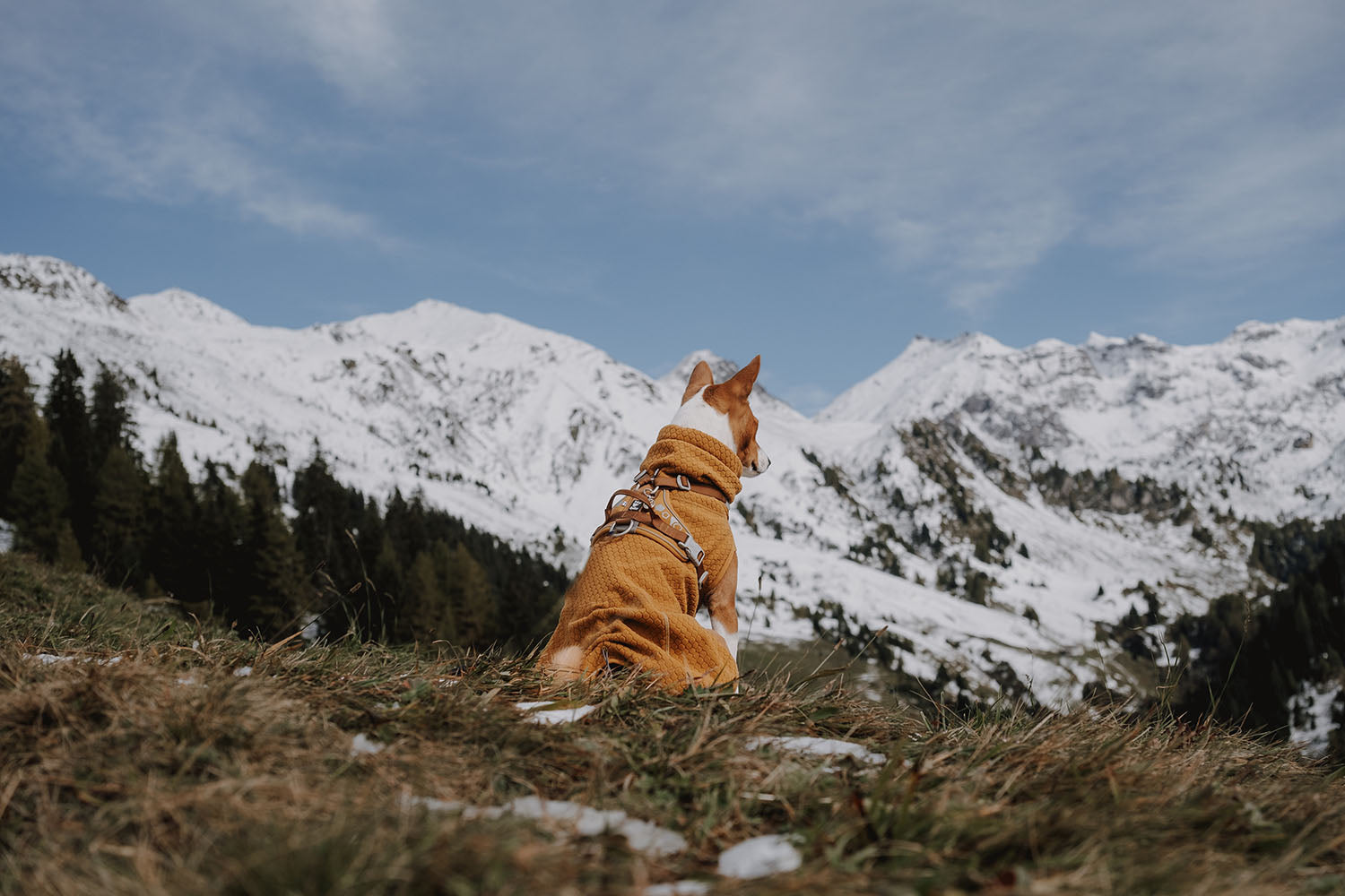 @yagohmeetstheworld - Autumn Adventures in the Alps