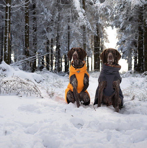 @you.have.spotted.us - Embracing Winter in Belgium with Our Pets