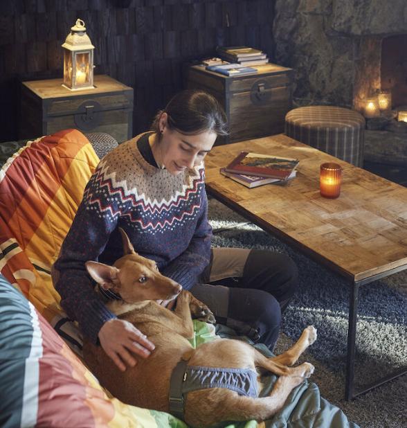 Hurtta Breezy Pants ECO help keep your home tidy when your female dog is in heat.