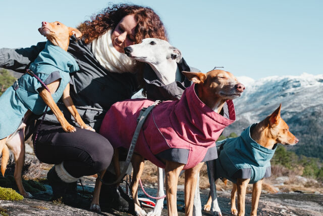 Warm Dog Clothing