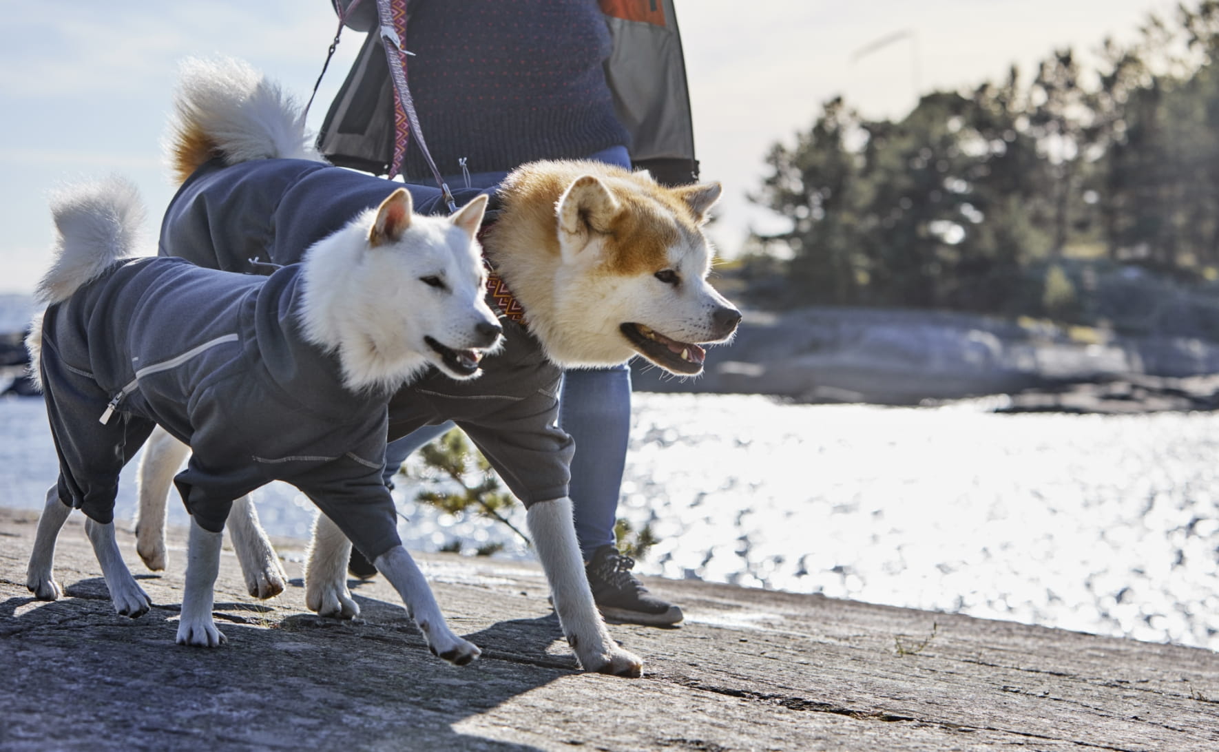 Hurtta dog coats keeps your dog safe in all weathers -rain or shine.