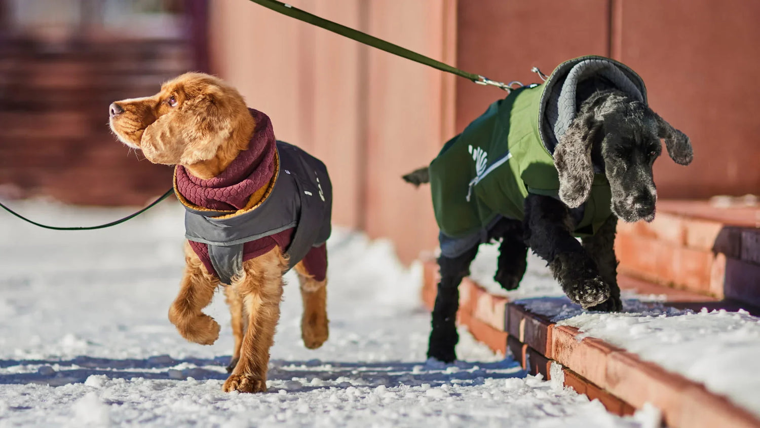 Autumn & Winter 2026