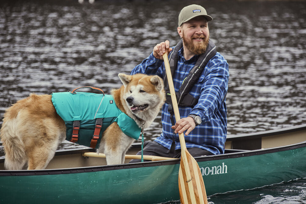Safety Gear for Dogs