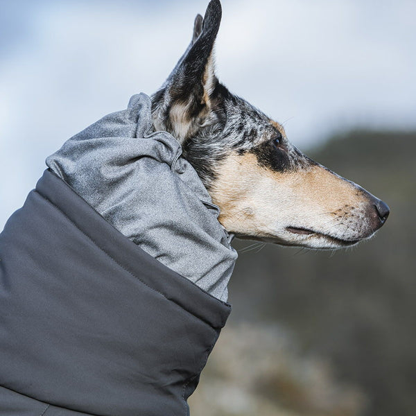 Extreme Overall Hundeoverall
