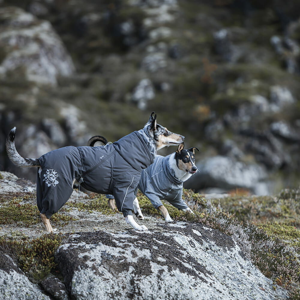 Extreme Overall Hundeoverall