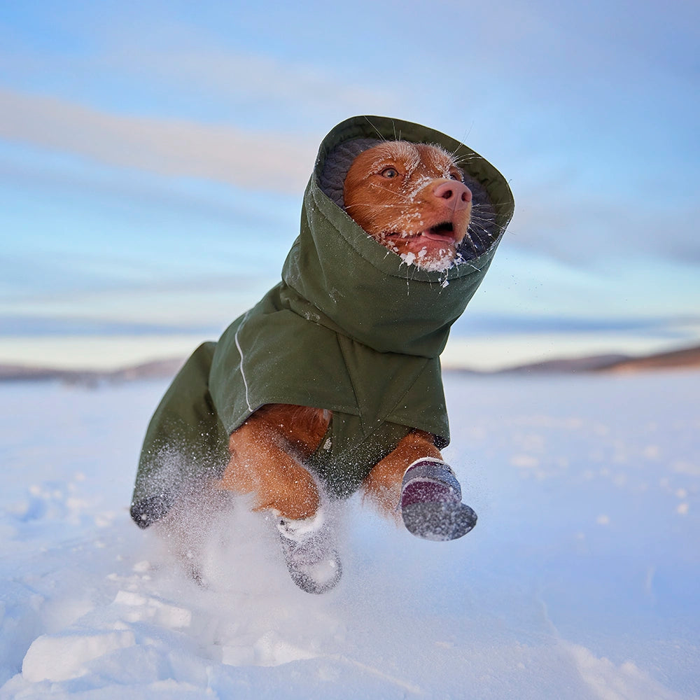 Expedition Parka II Hundemantel