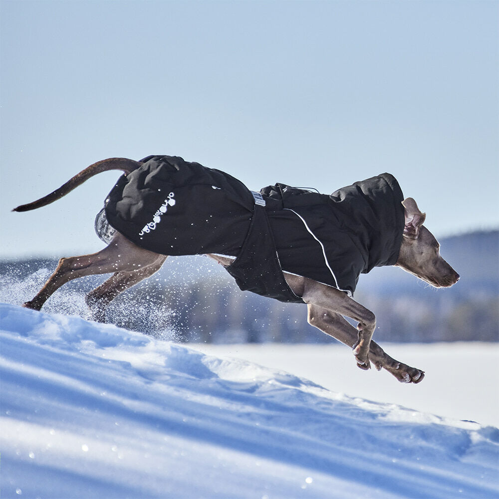 Extreme Warmer III ECO hundjacka