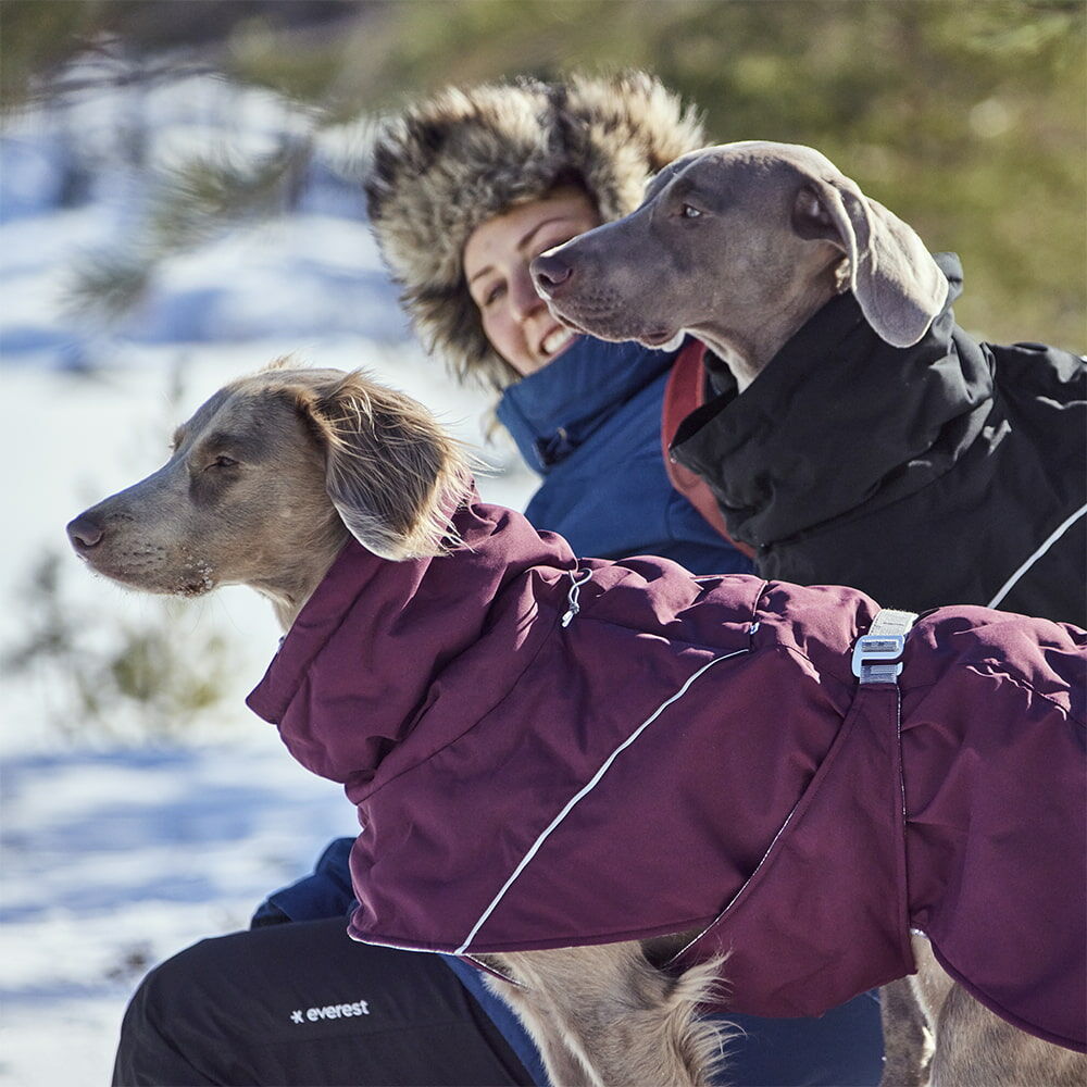 Extreme Warmer III ECO hundjacka