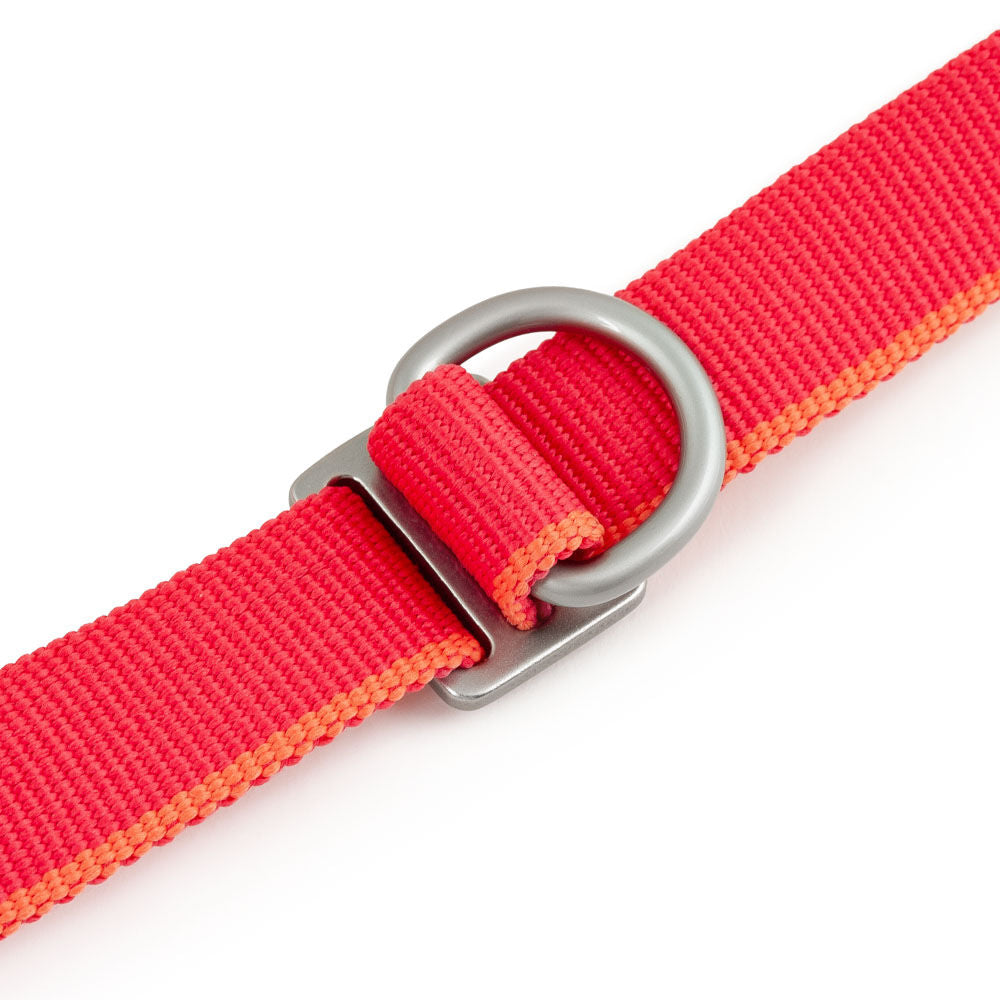 Multilong Leash II