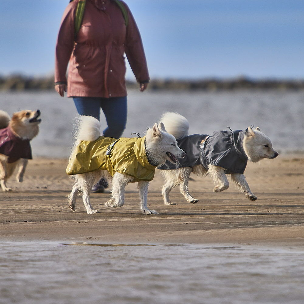Mudventure reflekterande hundjacka