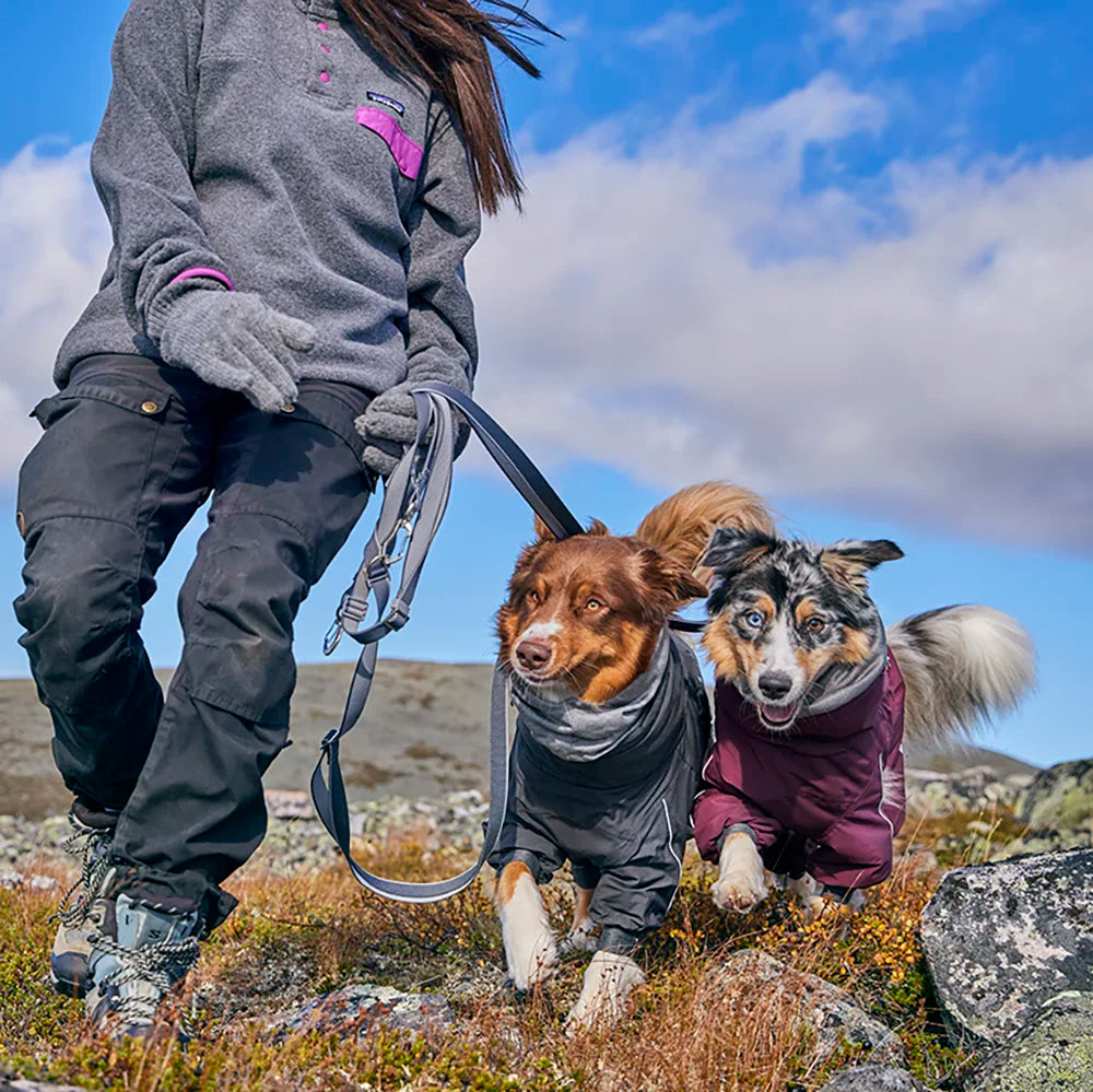Multilong Leash II