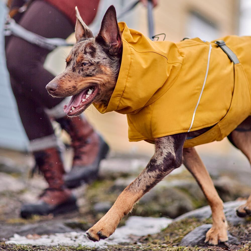 Expedition Parka II Hundemantel