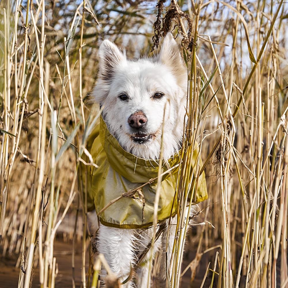 Mudventure reflekterande hundjacka