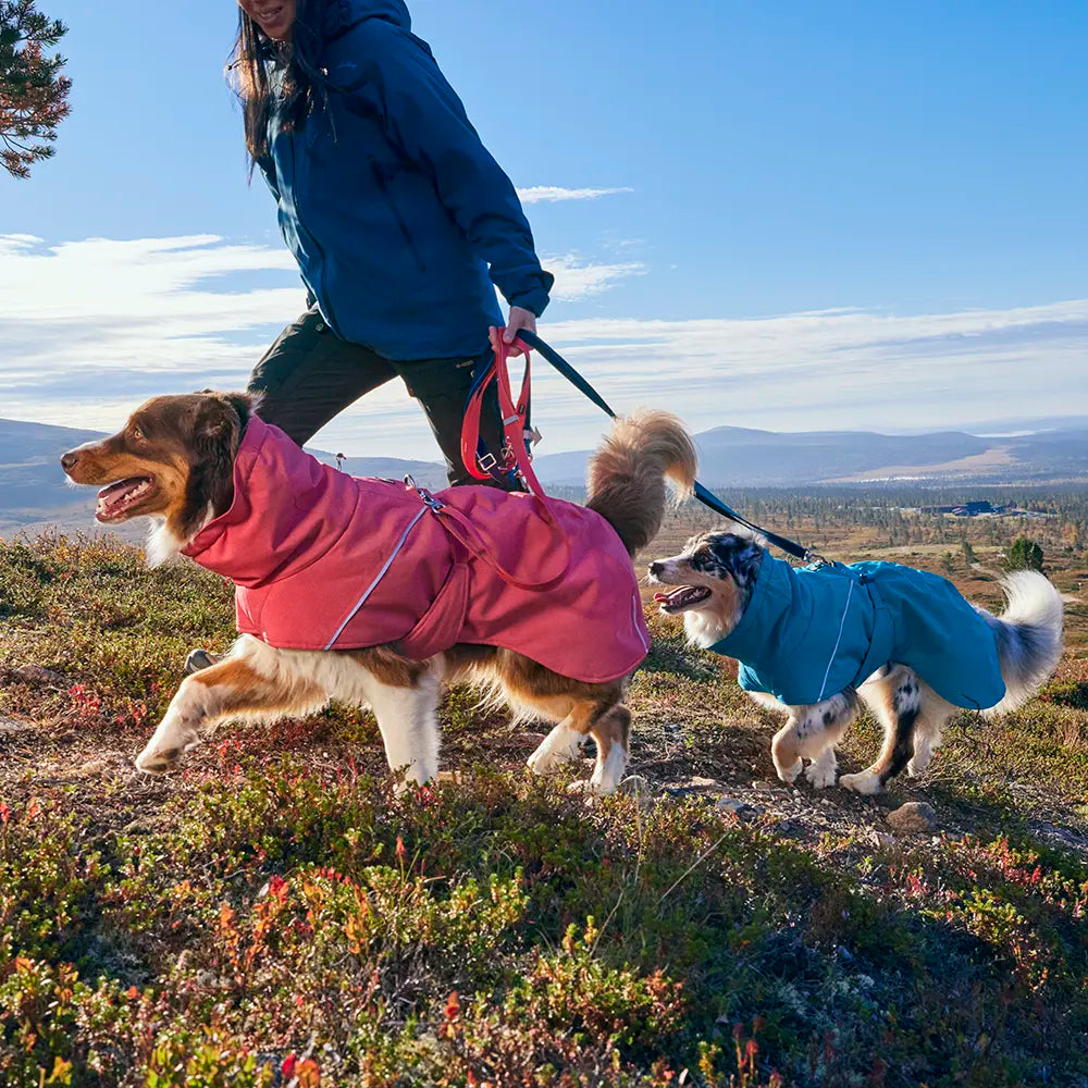 Multilong Leash II