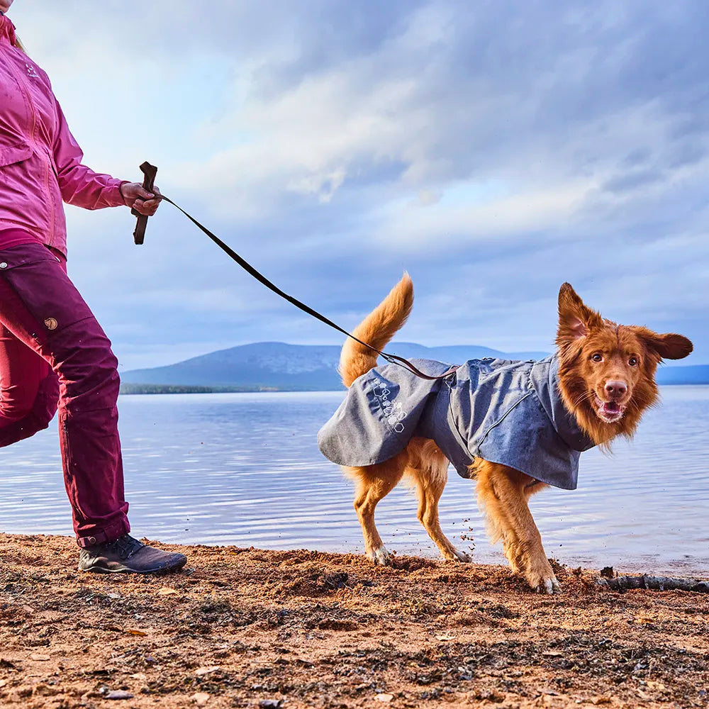 Weekend Warrior Standard Leash