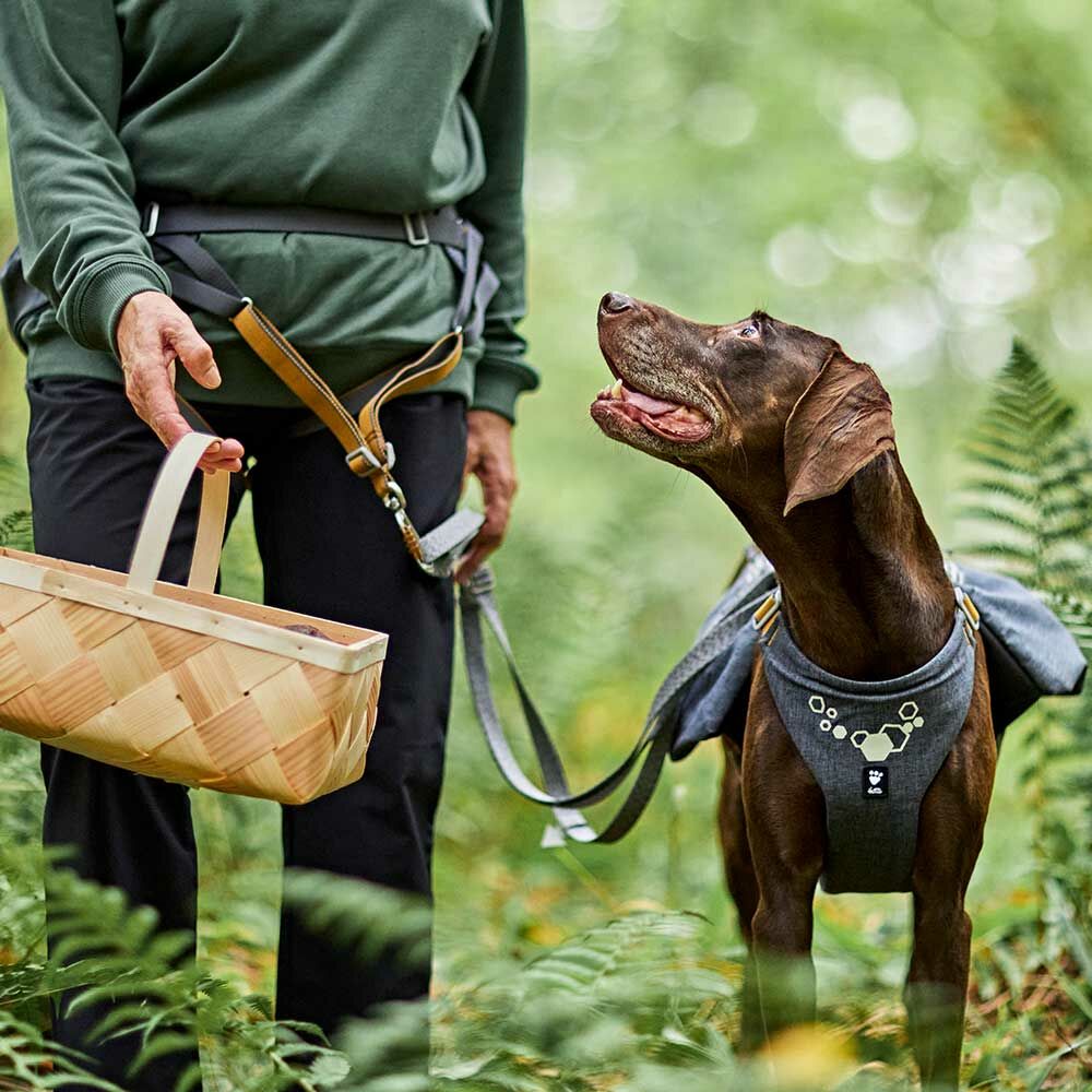 Expedition Belt ECO