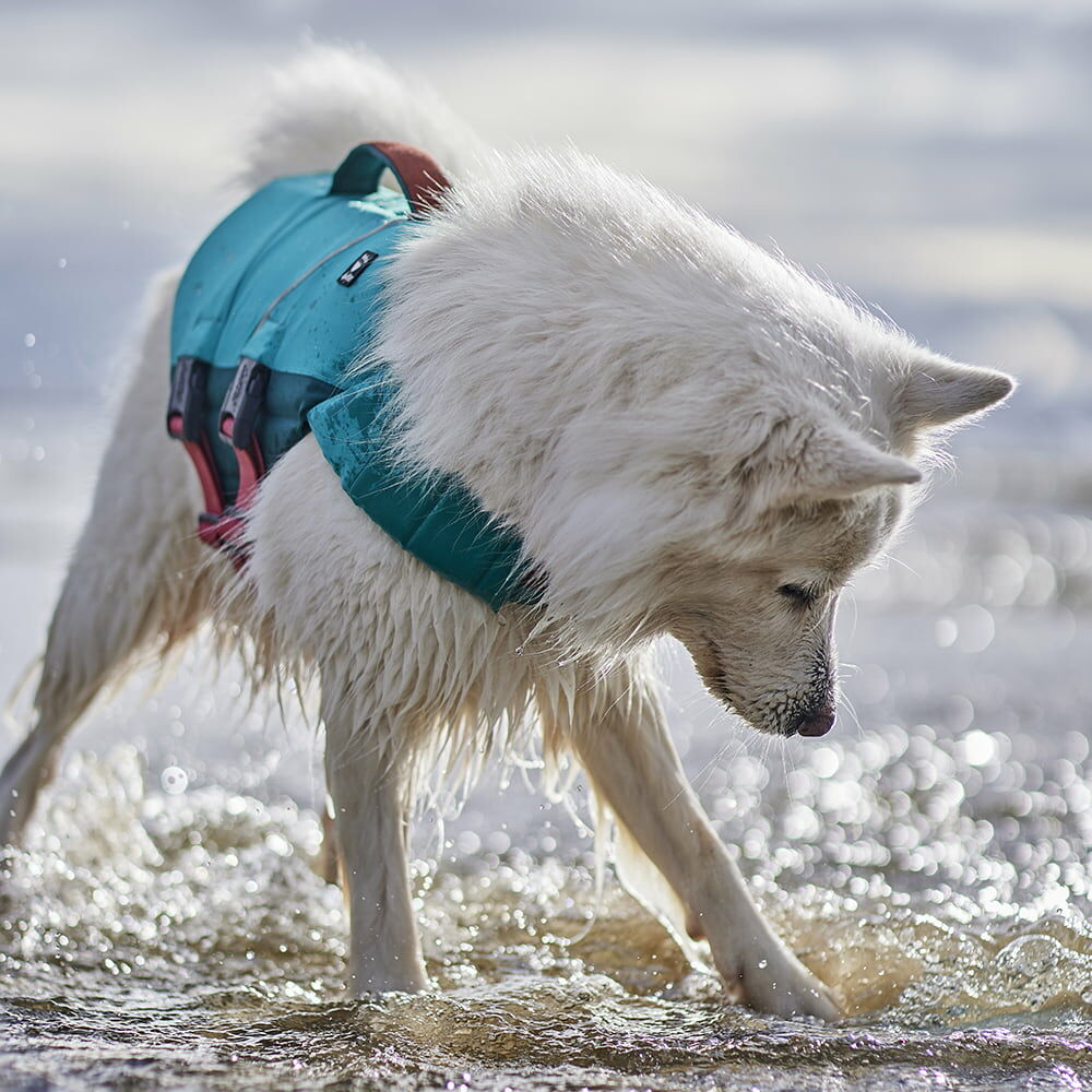 Hurtta dog life jacket shop