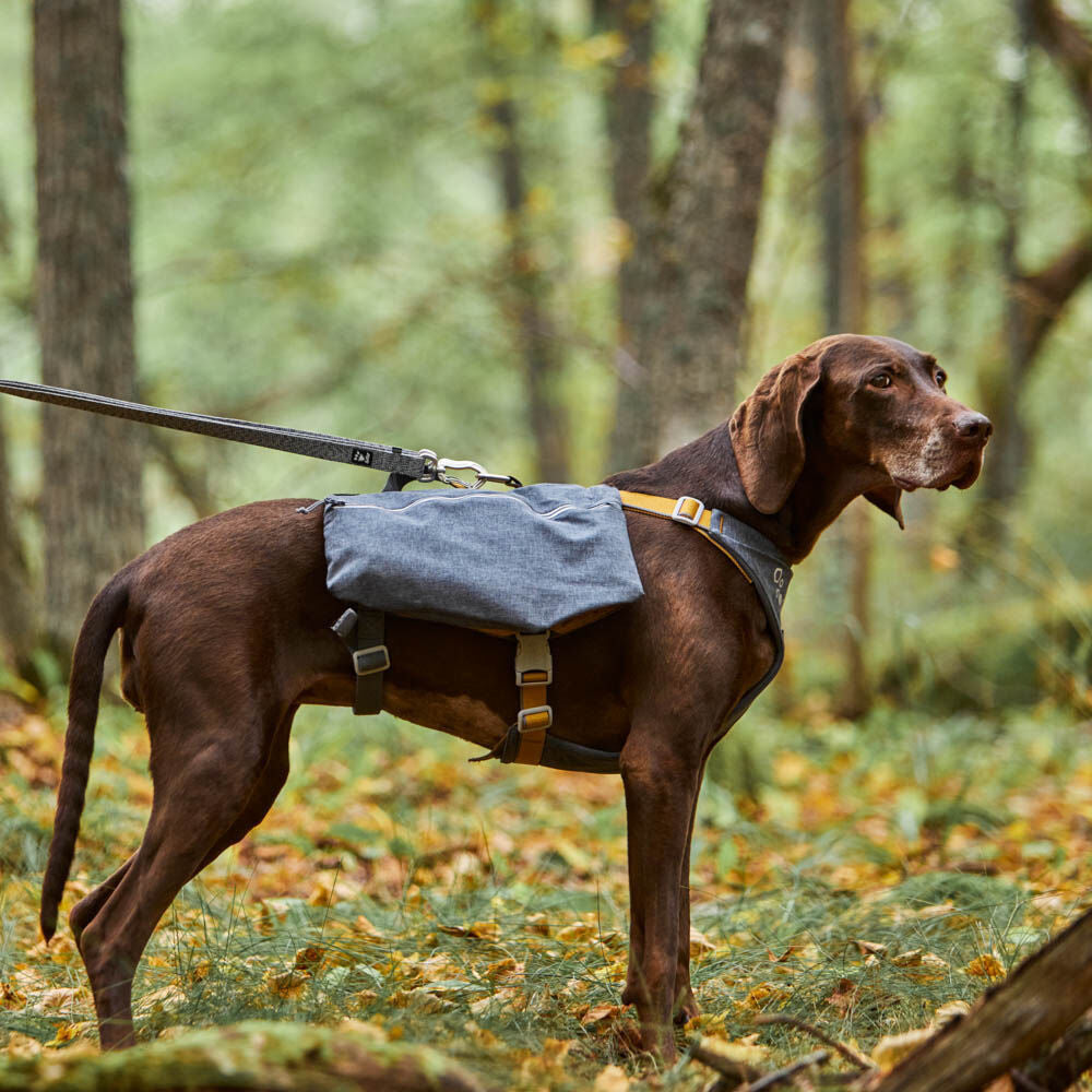 Expedition Pack ECO