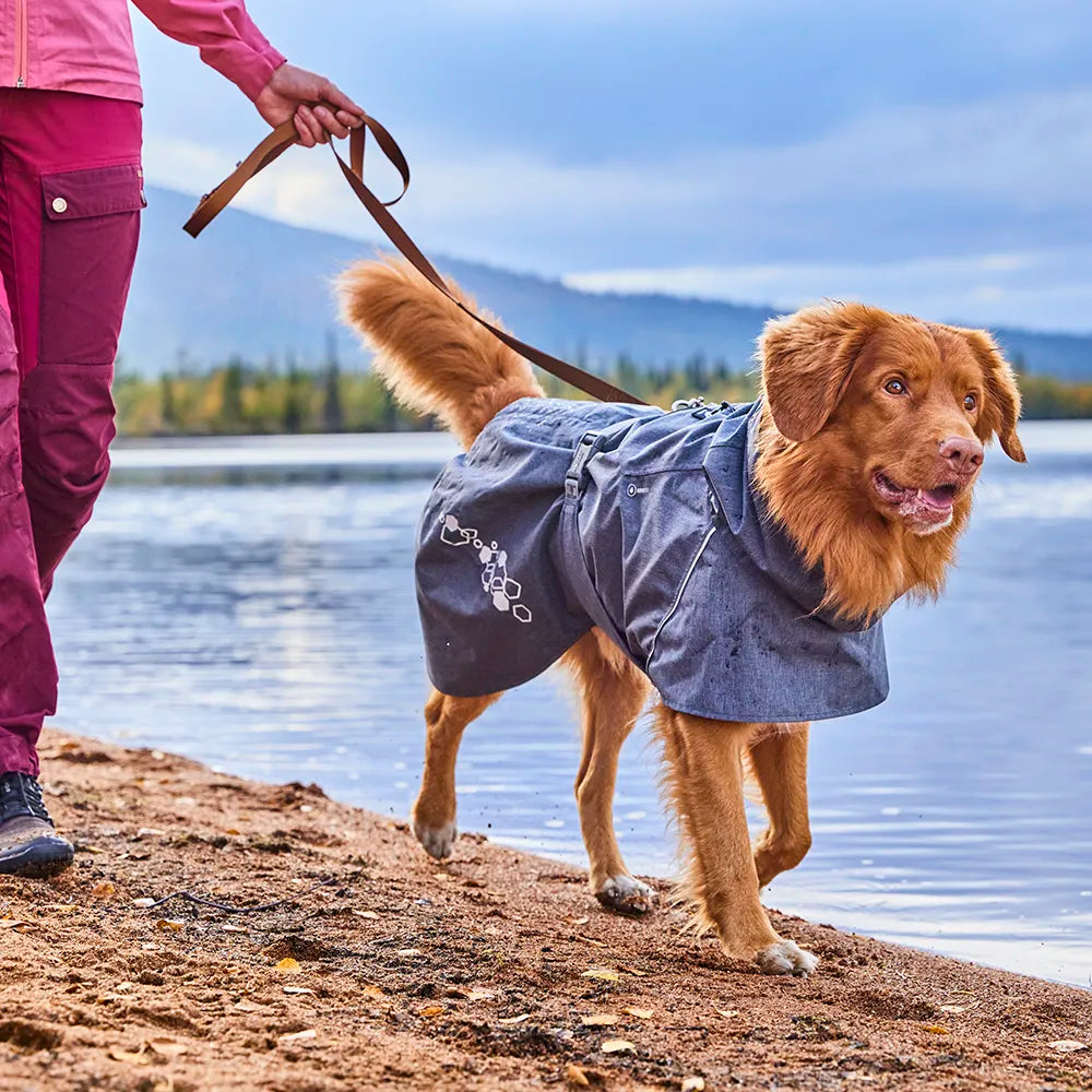 Weekend Warrior Standard Leash