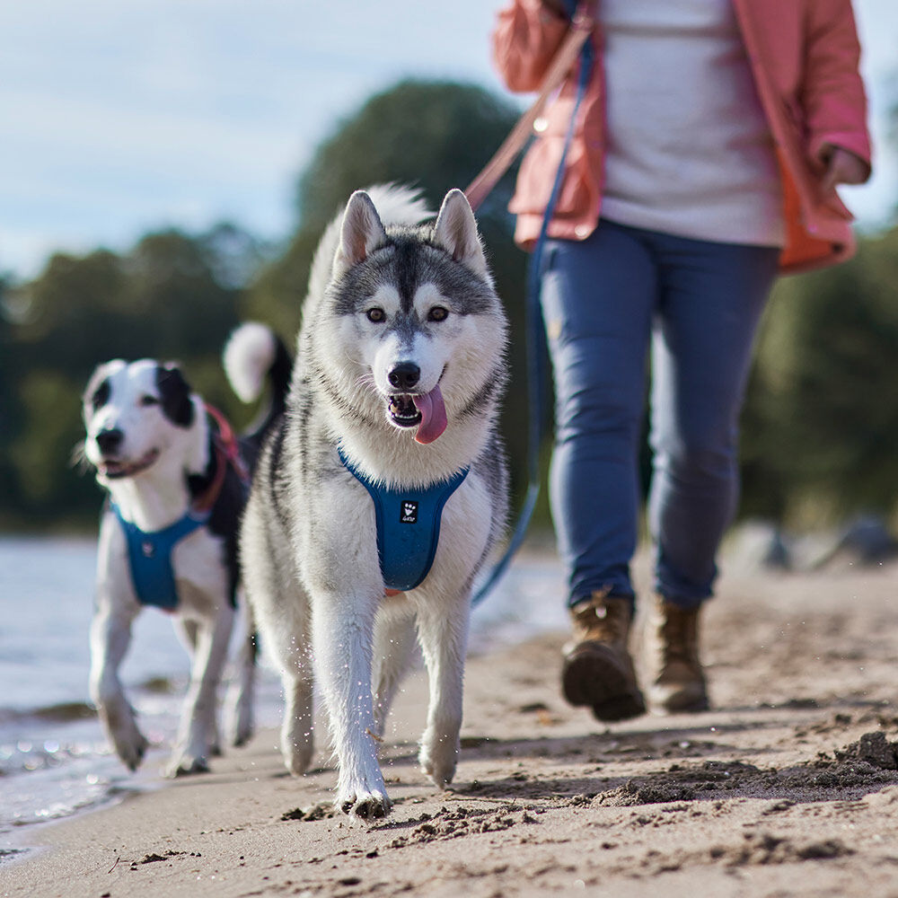 Weekend Warrior Warming Harness ECO