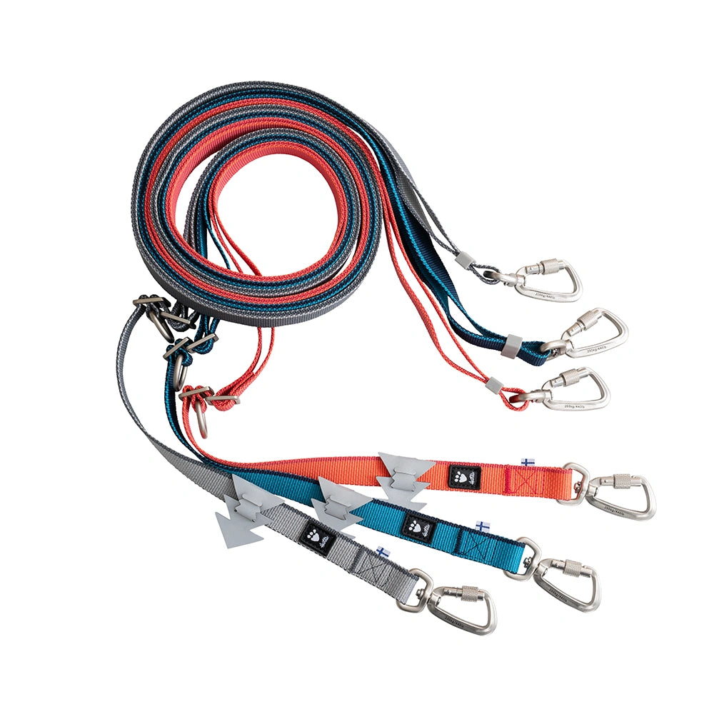 Multilong Leash II
