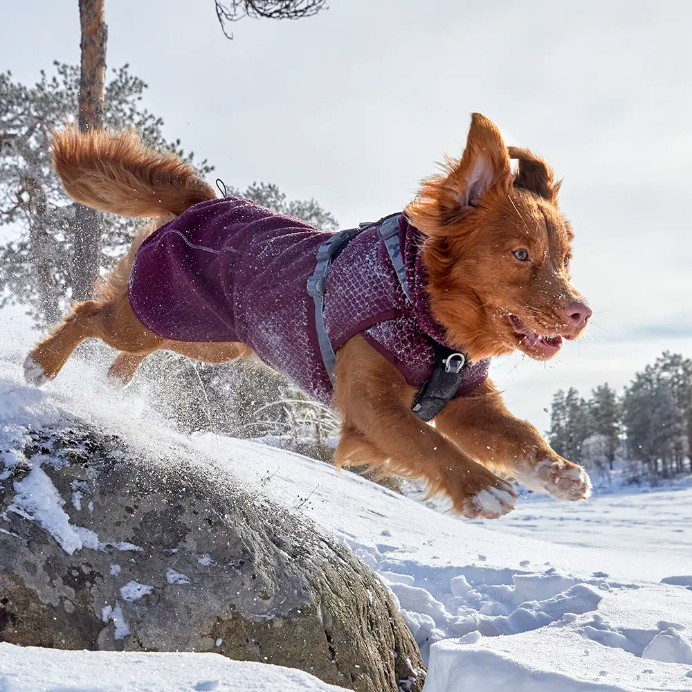 Warming Midlayer ECO Dog Jacket