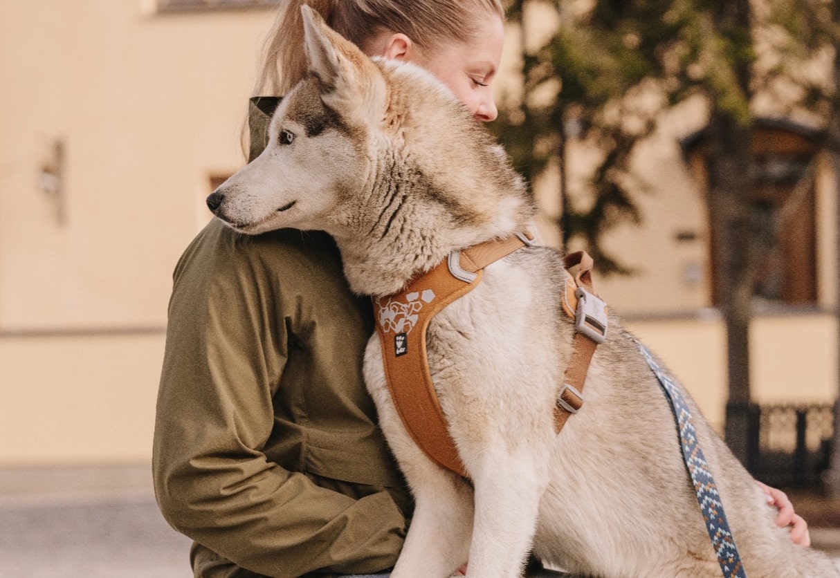 The Weekend Warrior is Hurtta's most popular harness and for a good reason. Stylish, comfortable and durable - everything you need for every day walkies.