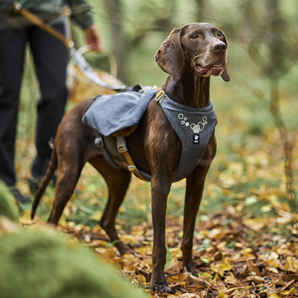 Expedition Pack ECO