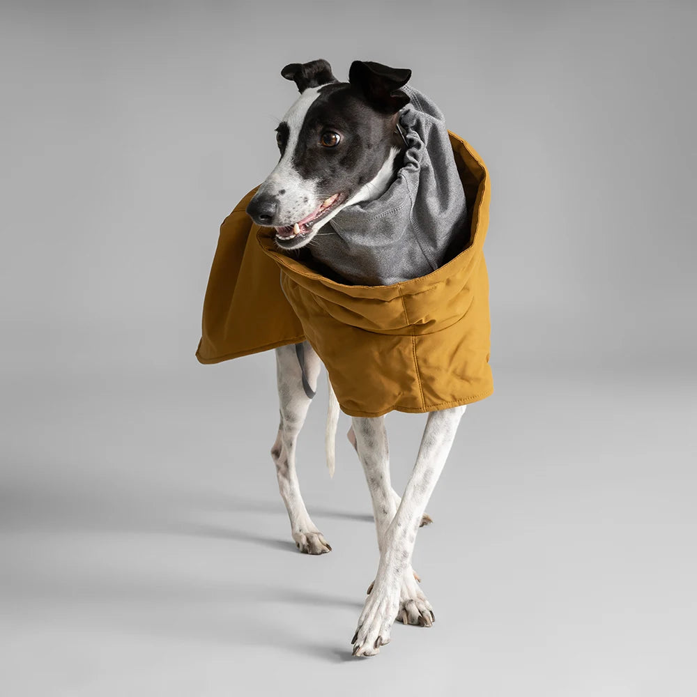 Extreme Warmer III ECO hundjacka