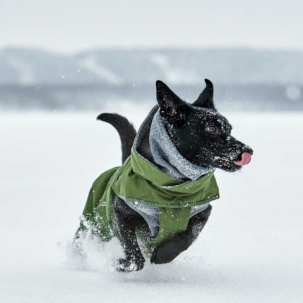 Walk All-Season Jacket