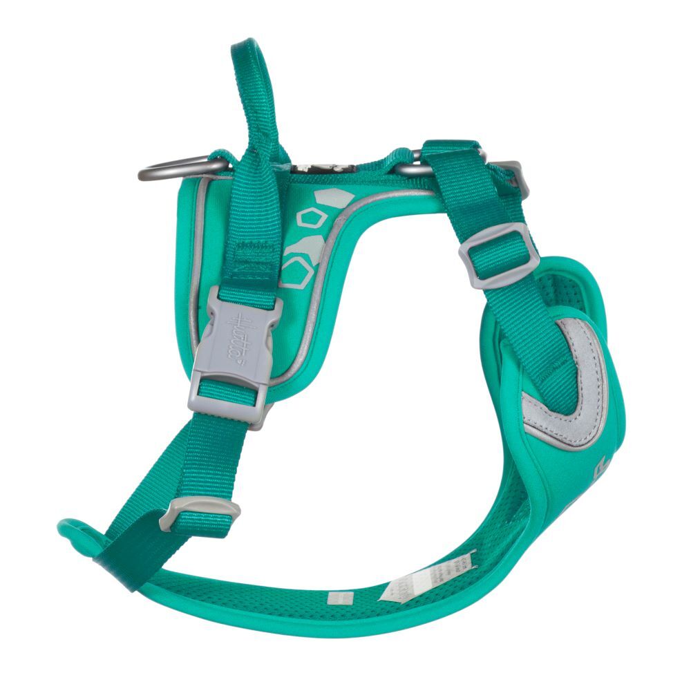 Weekend Warrior Harness