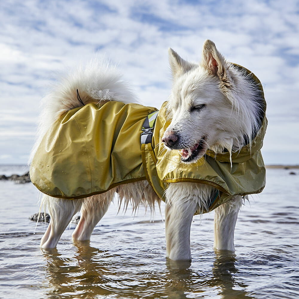 Mudventure reflekterande hundjacka