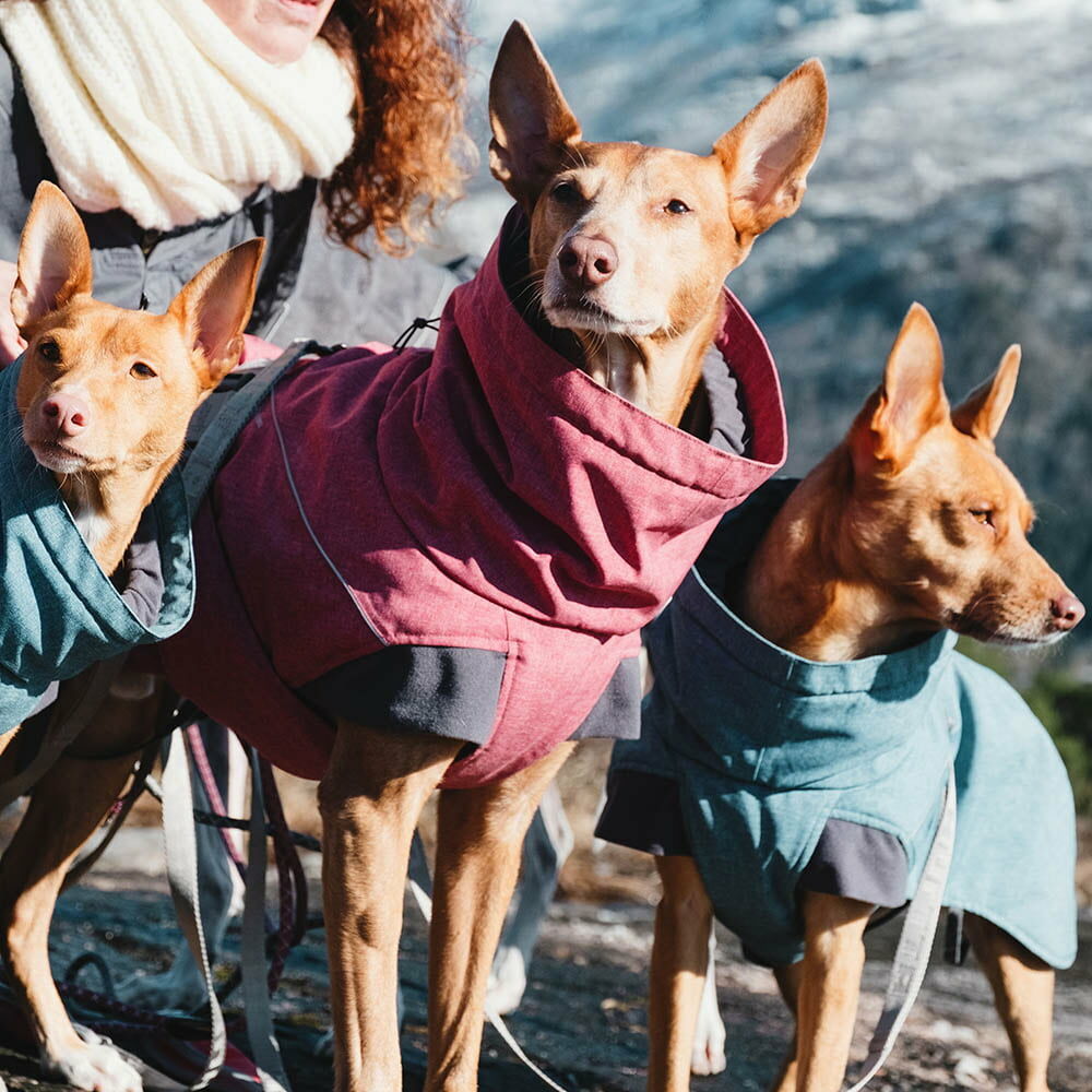 Expedition Parka Hundemantel