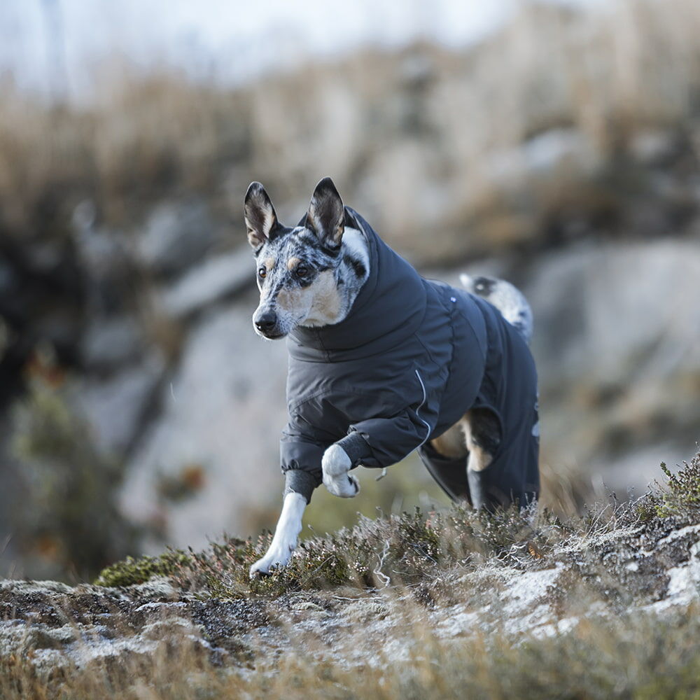 Extreme Overall Hundeoverall
