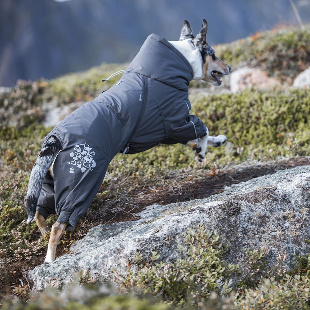 Extreme Overall Hundeoverall